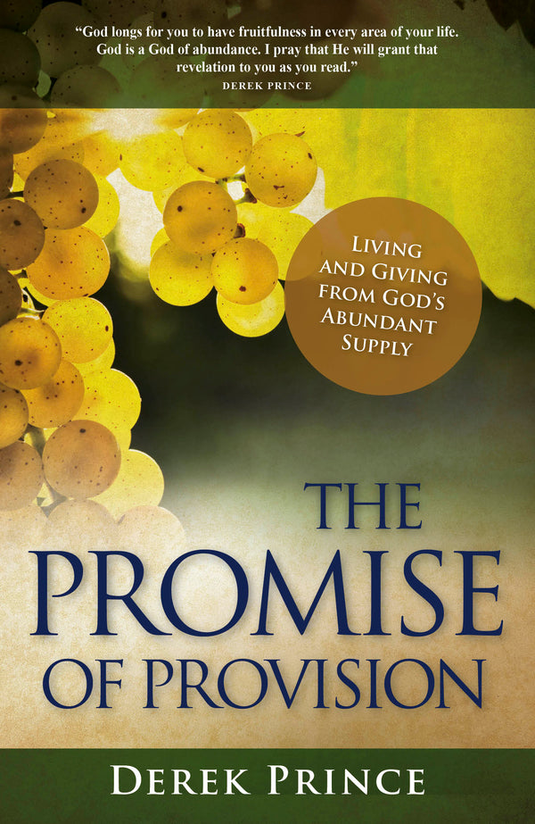 Promise of Provision, The
