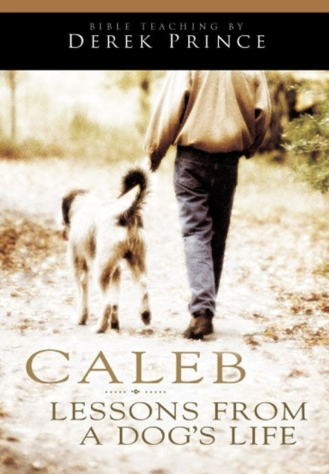 Caleb: Lessons From a Dog’s Life