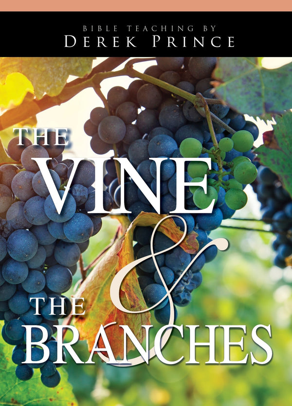 The Vine and the Branches